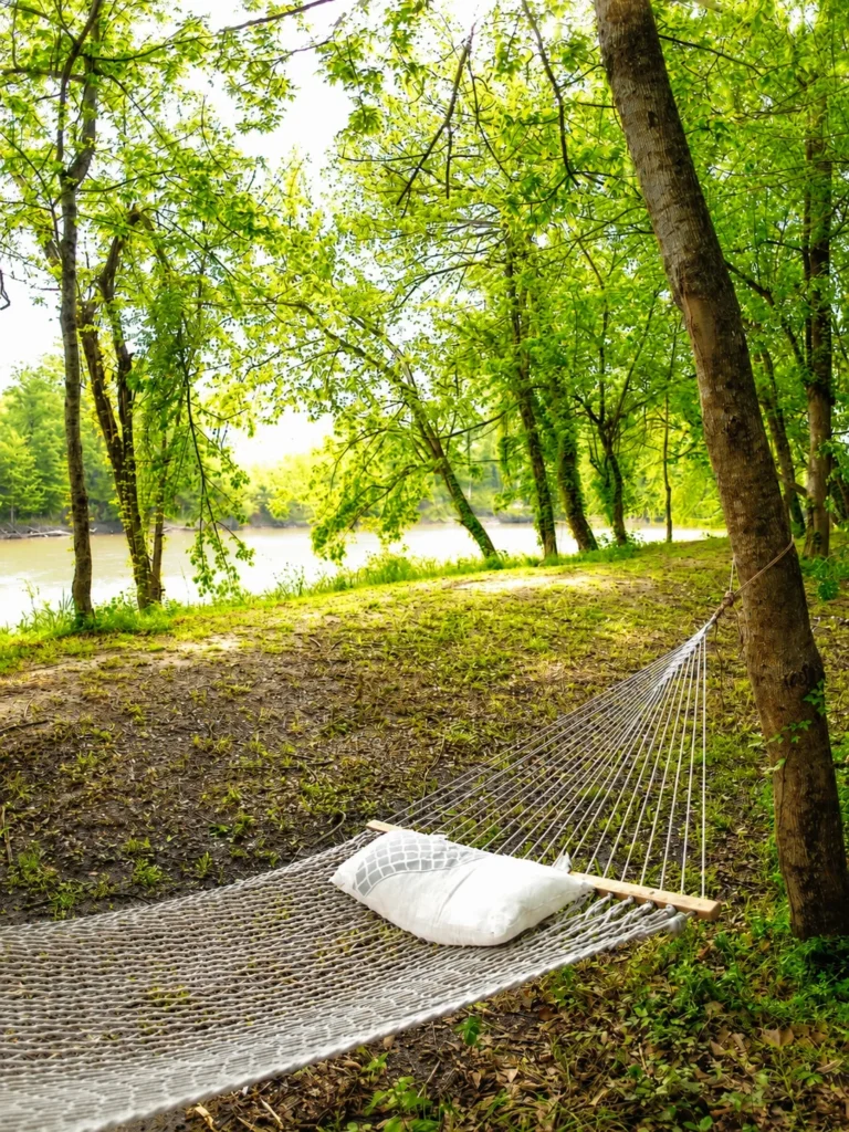 Hammock in the shade of trees with water in the background